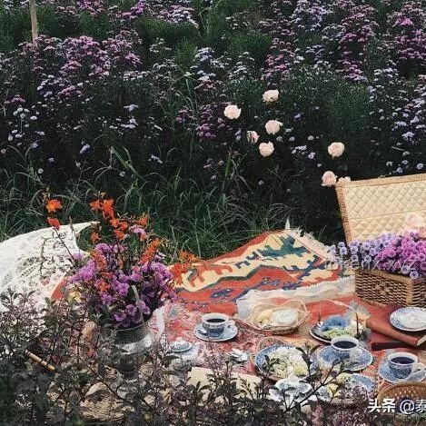 **从“Flower”中寻觅“love”：在细微处发现爱的真谛**